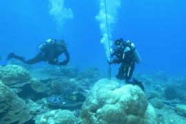 Said سعيد - أثناء البحث عن نويات الشعاب المرجانية قرب جزر كريسماس – كليمت إكستريمز - أول سجل مرجاني يرصد 400 عام من أحداث "إل نينو"