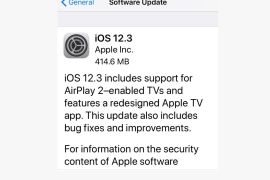 iOS 121.3