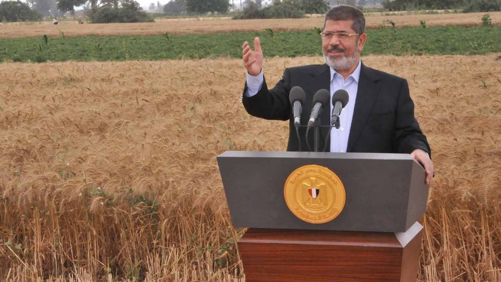 ‪إنتاج القمح حقق ارتفاعا في عهد مرسي‬ (مواقع التواصل)
