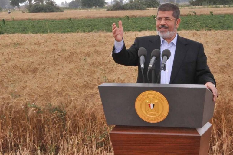 مرسي في حقول القمح