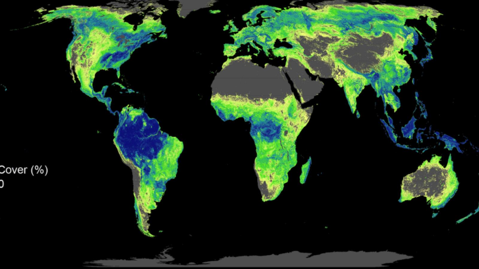 إجمالي مناطق الغابات الحالية والمناطق المرشحة لإنشاء غابات جديدة (إي تي أتش زيوريخ)