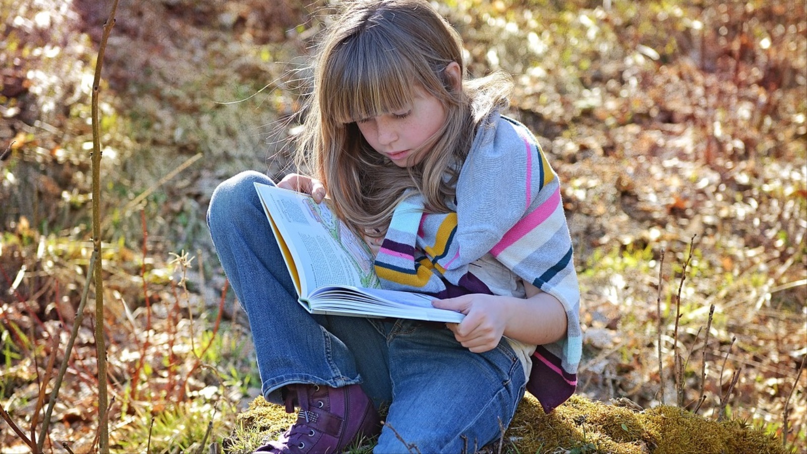 يفضل الطفل قبل المراهقة الكتب غير القصصية (بيكسباي)