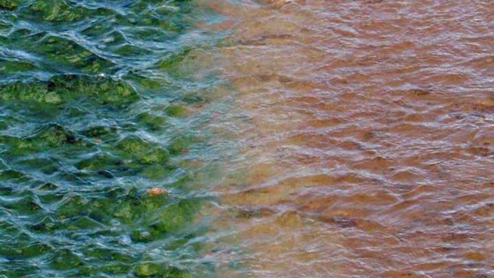 ‪الطحالب الحمراء في متنزه يلوستون الوطني تظهر باللون الأخضر لأن الكلوروفيل يحجب صبغتها الحمراء‬ (مواقع التواصل)