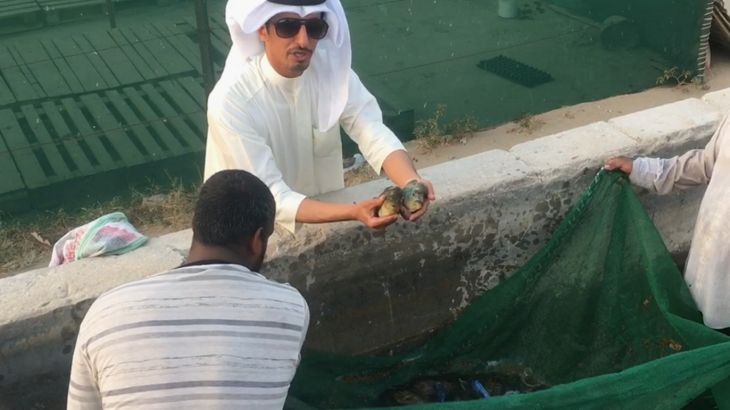 أسماك الزينة الكويتية