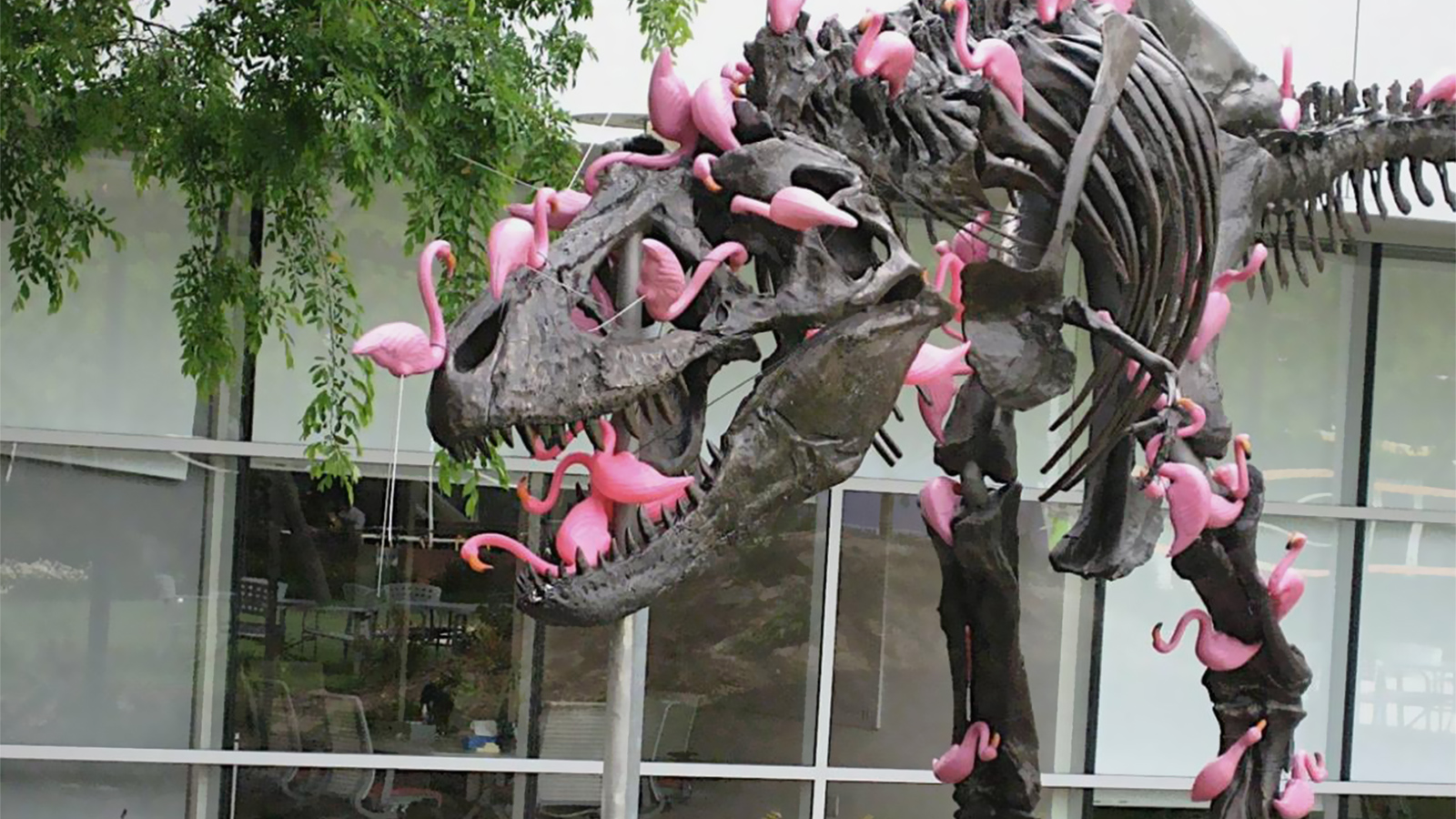 المجسم العظمي للديناصور تي ريكس وضعته الشركة لتذكير موظفيها بأنها لن تندثر (مواقع التواصل)