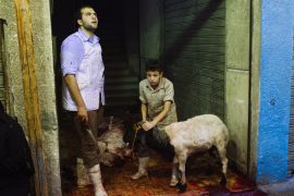 CAIRO, EGYPT - OCTOBER 15: An Egyptian man prepares to slaughter a sheep during the festival of Eid al Adha, or the Feast of the Sacrifice, in a street in the old city of Cairo on October 15, 2013 in Cairo, Egypt. Muslims all around the world celebrated the festival of Eid-al-Adha on Tuesday, a religious holiday that honours the willingness of the prophet Ibrahim to sacrifice his son, Ismail as an act of submission to Allah, before Allah intervened and gave Ibrahim a lamb to slaughter in the place of his son. The festival of Eid al Adha lasts for four days. (Photo by Ed Giles/Getty Images).