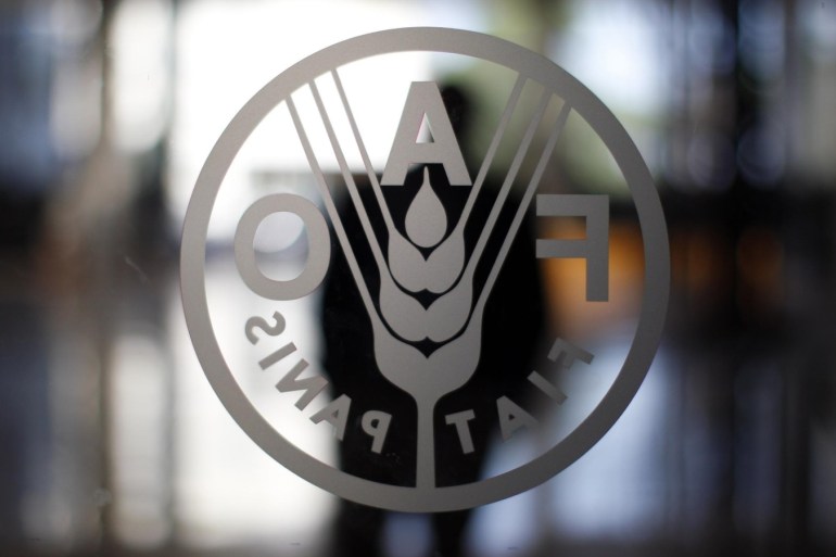 A FAO's logo is seen at the FAO headquarters in Rome September 6, 2012. The situation in the food market is different from the crisis of 2008 with little sign of the speculation seen four years ago and no panic buying, the head of the UN's food agency said on Thursday.REUTERS/Alessandro Bianchi (ITALY - Tags: ENVIRONMENT FOOD BUSINESS)