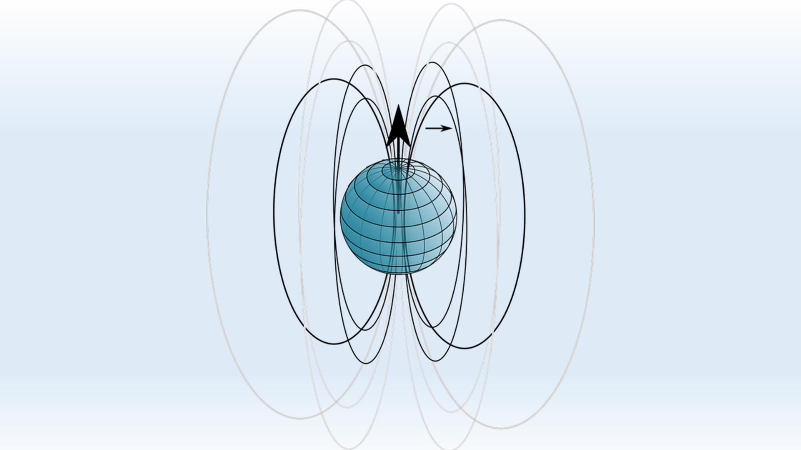 شكل توضيحي لخطوط المجال المغناطيسي للأرض الذي يعد بوصلة الطيور أثناء هجرتها (بيكسابي)