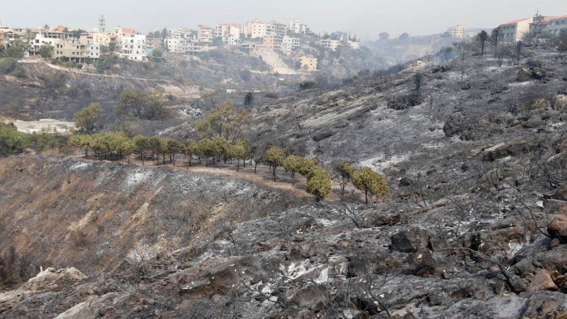 Burnt trees are seen after wildfires swept through Damour, south of Beirut, Lebanon October 15, 2019. REUTERS/Mohamed Azakir