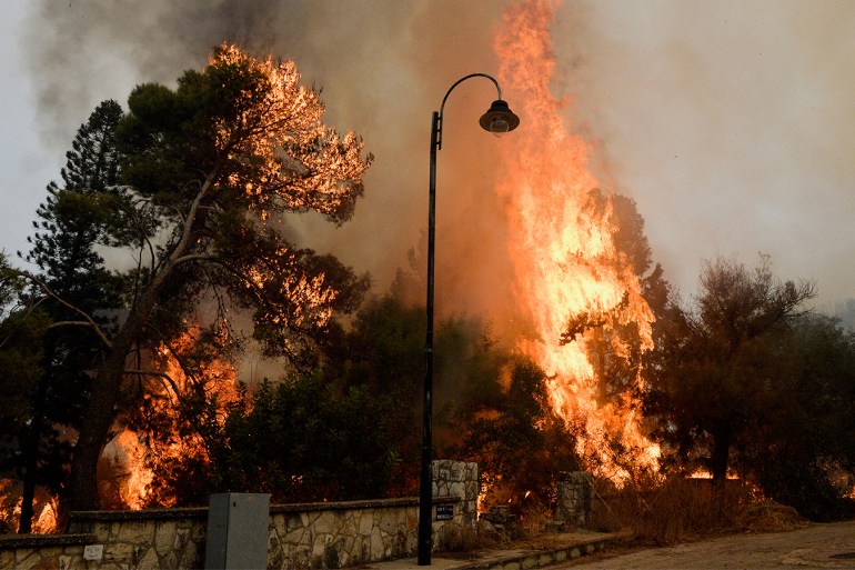 الحرائق تلتهم غابات واسعة بلبنان والحكومة تطلب عونا دوليا