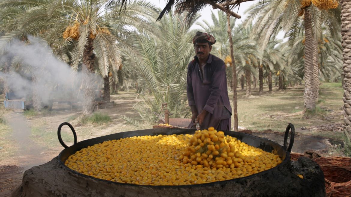 A farmer boils dates before drying them to be preserved for the rest of the year, during July's harvesting season on the outskirts of Sukkur, Pakistan July 26, 2019. Picture taken July 26, 2019. REUTERS/Saiyna Bashir