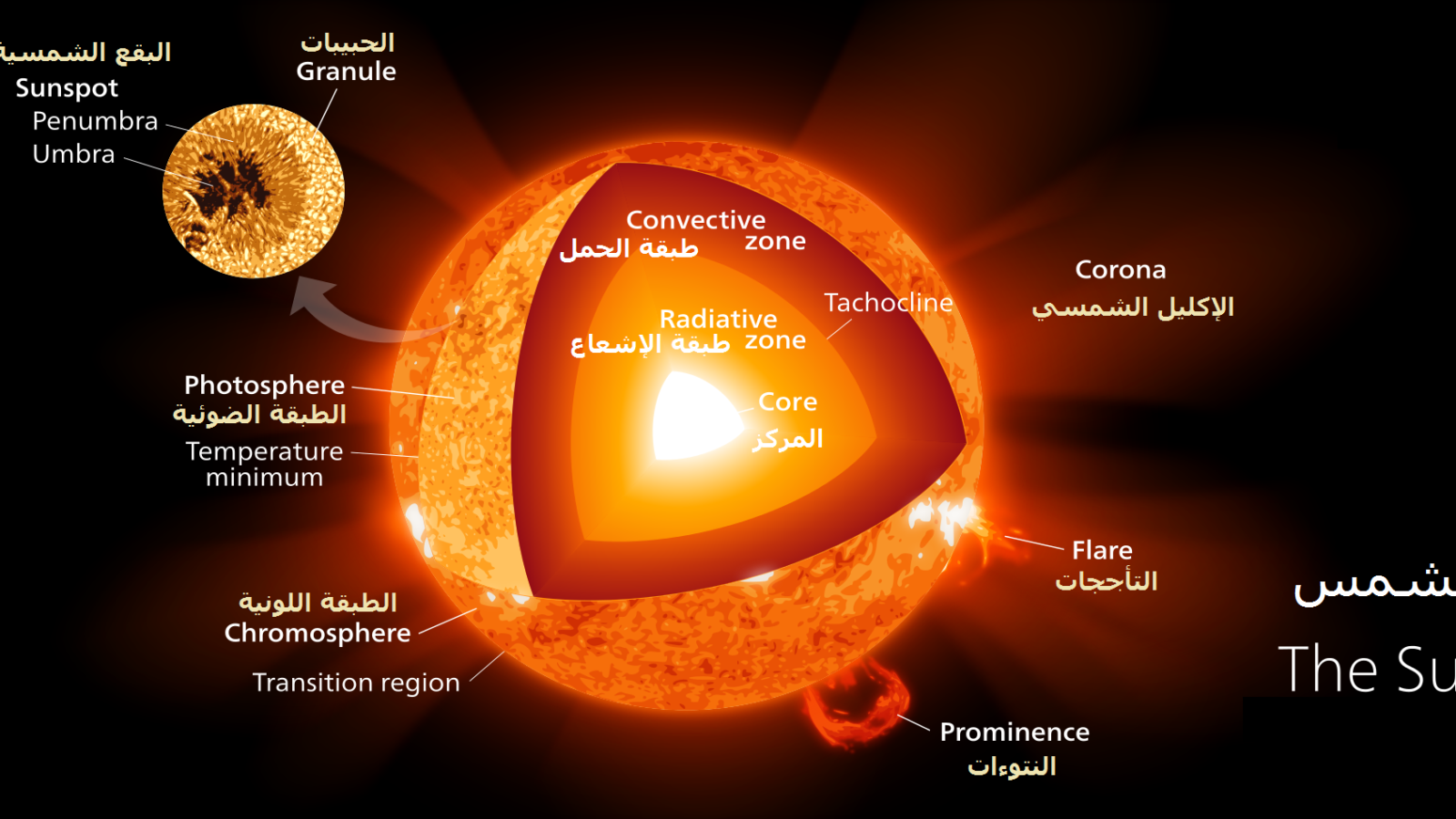 ‪طبقات الشمس حيث تصدر الأصوات المختلفة (تعريب الباحث لصورة من ناسا)‬ طبقات الشمس حيث تصدر الأصوات المختلفة (تعريب الباحث لصورة من ناسا)