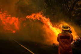 SYDNEY, AUSTRALIA - DECEMBER 19: A camerman films flames crossing a road as a bushfire burns near homes on the outskirts of the town of Bilpin on December 19, 2019 in Sydney, Australia. (Photo by David Gray/Getty Images)