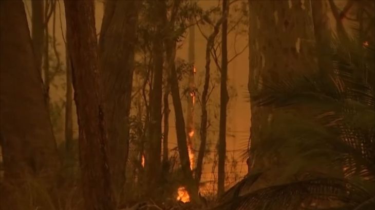 حرائق الغابات بأستراليا تقتل 24 شخصا والحكومة تتعهد بإصلاح الأضرار