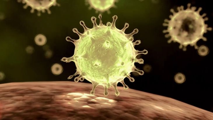 ما طبيعة فيروس كورونا وما أعراضه ومخاطره؟