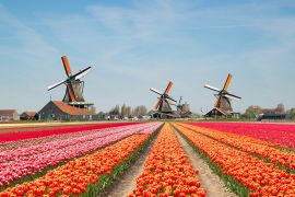 المسافر - أجمل ما في هولندا