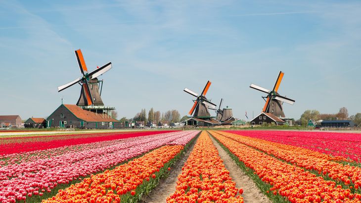 المسافر - أجمل ما في هولندا