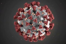 العالم في مواجهة فيروس كورونا