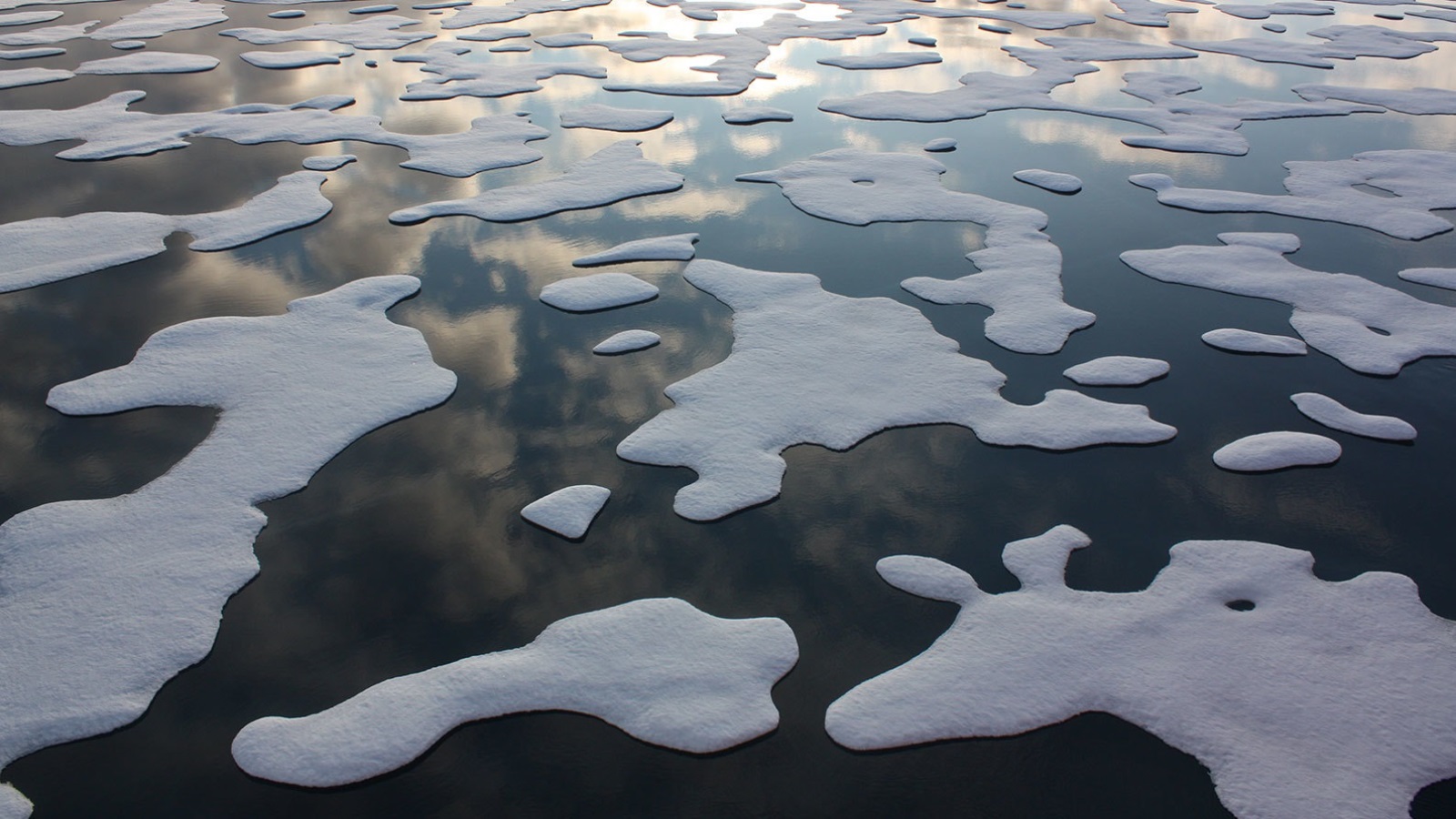 ‪جليد البحر في القطب الشمالي عام 2011 وكيف تؤثر الظروف المتغيرة هناك على كيمياء‬ 
جليد البحر في القطب الشمالي عام 2011 وكيف تؤثر الظروف المتغيرة هناك على كيمياء المحيطات ونظمها الإيكولوجية (ناسا)
