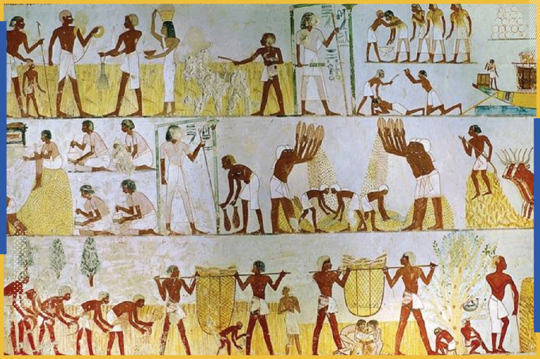 الفلاحون بالدولة الفرعونية (مواقع التواصل)