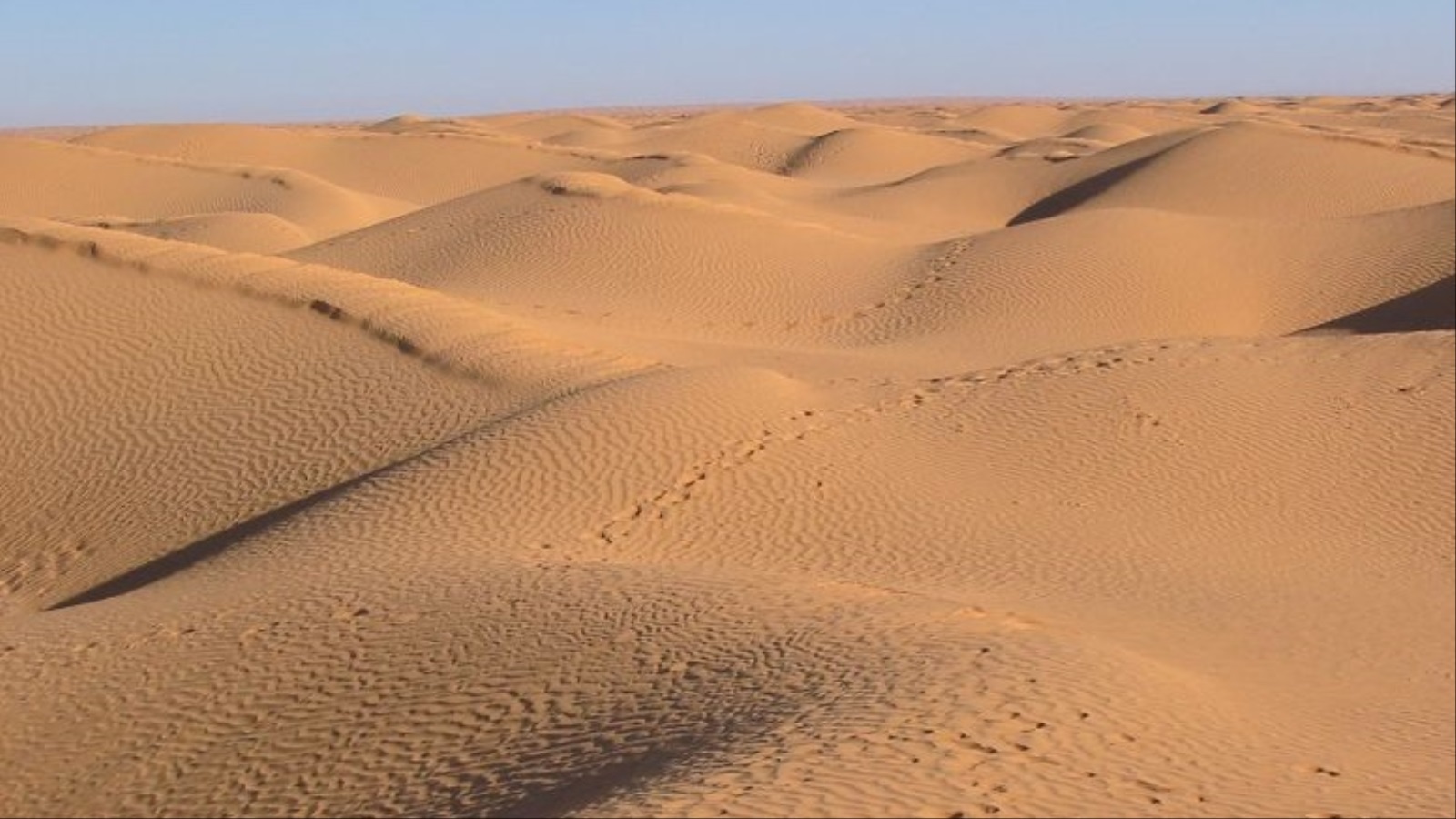 ‪400 نيزك عثر عليها الباحثون في منطقة العرق الأصفر بالصحراء الجزائرية‬ (ويكيبيديا)