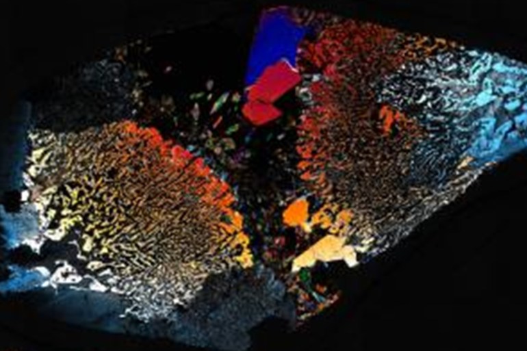 صورة مجهرية للترابط العضوي الموجود في أحد عينات الصخور (يوريك ألرت)