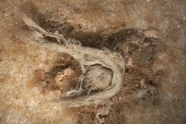 صورة بالمجهر الإلكتروني لقطعة الحبل التي عثر عليها في مغارة ماراس (يوريك ألرت)