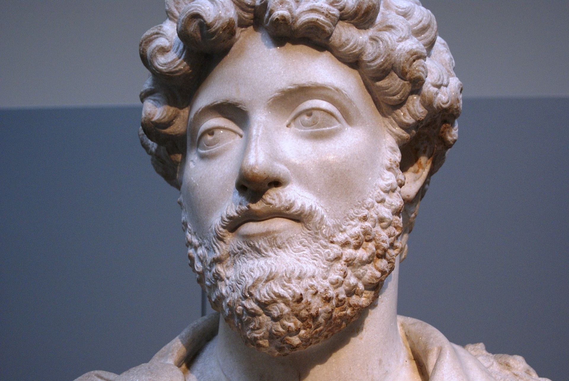 الإمبراطور ماركوس أوريليوس (مواقع التواصل)