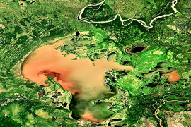 ركزت الدراسة على الأراضي الرطبة المعرضة للخطر في دلتا بيس-أثاباسكا الواقعة في شمال ألبرتا بكندا (ويكيبيديا)