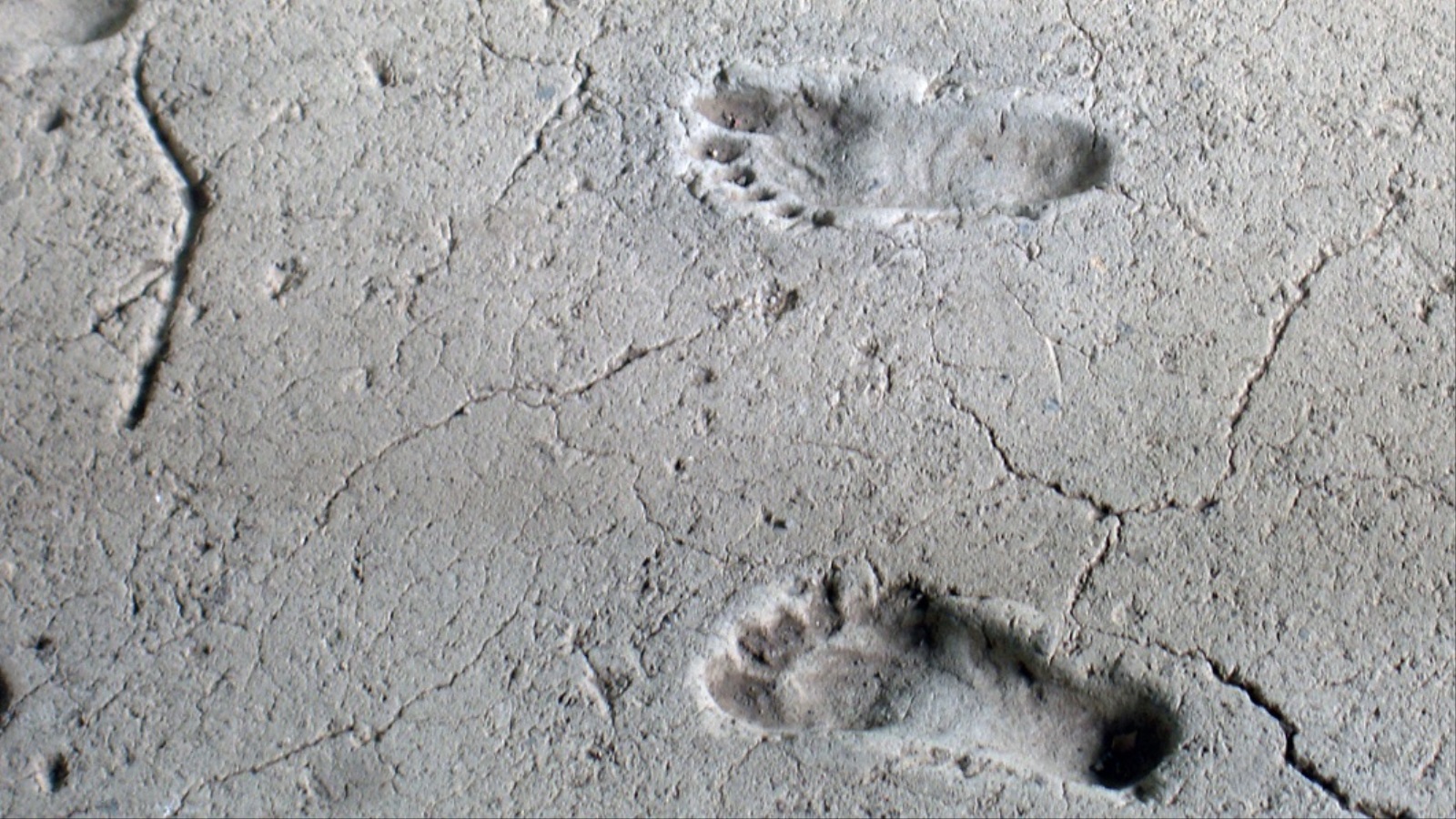 ‪ليست المرة الأولى التي تكتشف فيها آثار أقدام بمنطقة أنجار سيرو التنزانية (ويكيميديا)‬ ليست المرة الأولى التي تكتشف فيها آثار أقدام بمنطقة أنجار سيرو التنزانية (ويكيميديا) 