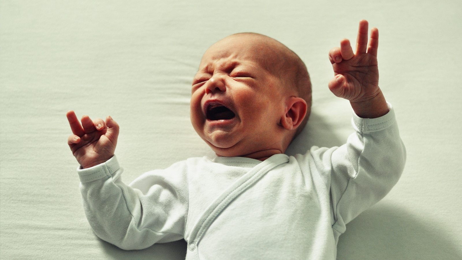 ‪لا يستطيع الرضيع التعبير عن نفسه سوى بالبكاء‬ (بيكسابي)