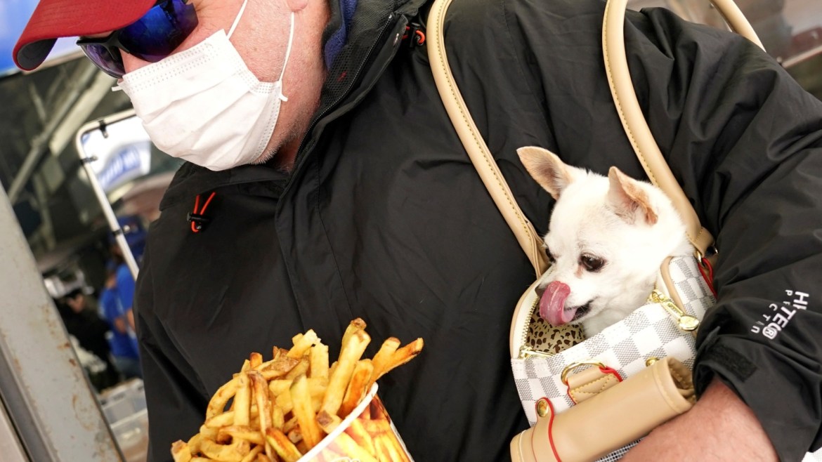 A dog named Izzy licks its chops as Craig Morland of Crofton, Maryland, buys a bucket of Thrashers famous fries on the first day of eased coronavirus disease (COVID-19) restrictions for the beach and boardwalk in Ocean City, Maryland, U.S., May 9, 2020.  REUTERS/Kevin Lamarque     TPX IMAGES OF THE DAY