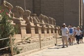 عدد العاملين بالقطاع السياحي في مصر يصل نحو 10 آلاف مرشد سياحي (الجزيرة)