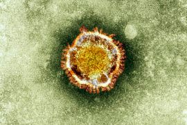 A electron microscope image of a coronavirus is seen in this undated picture provided by the Health Protection Agency in London
