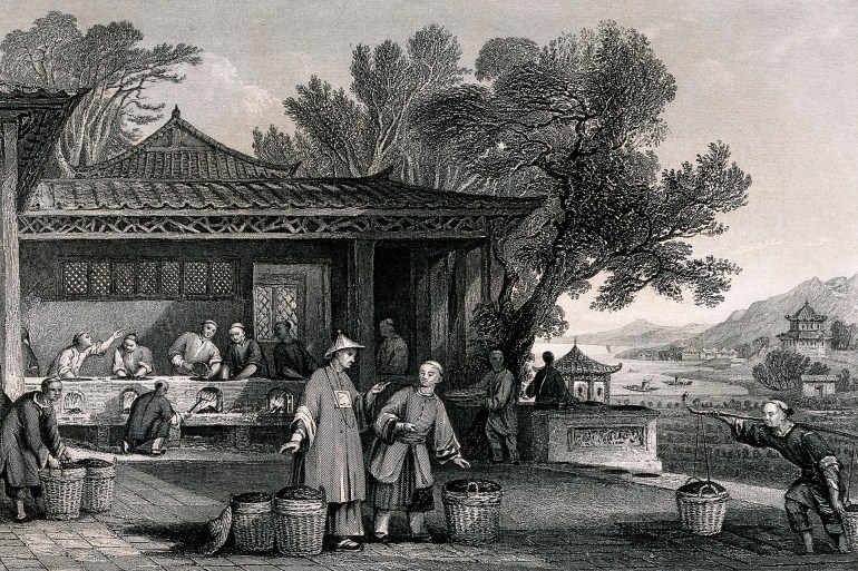 عمال ومزارعو الشاي في الصين مطلع القرن العشرين ويكي كومنز