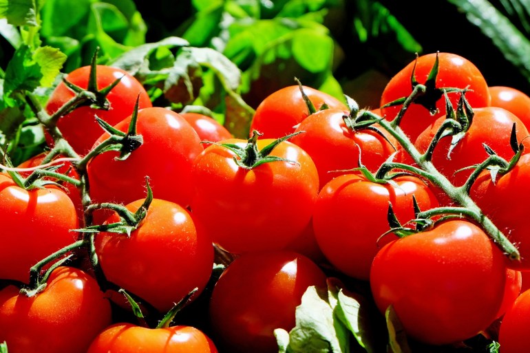 تعرف على الأطعمة التي تساعدك على محاربة موجة الحرارة الطماطم