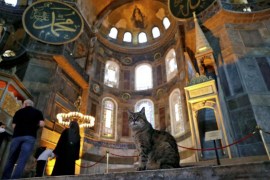 FILE PHOTO: Gli the cat of Hagia Sophia or Ayasofya, a UNESCO World Heritage Site, is pictured in Istanbul, Turkey, July 2, 2020. REUTERS/Murad Sezer/File Photo