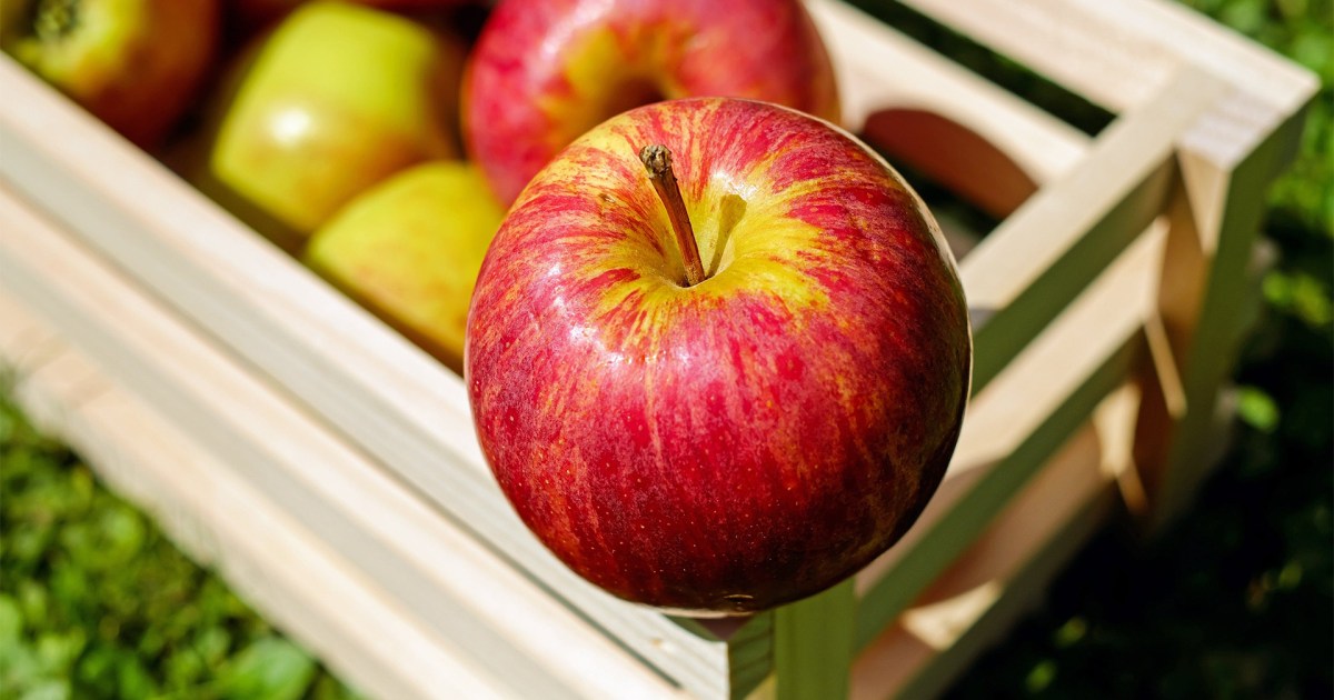 التحميل السكري للتفاح