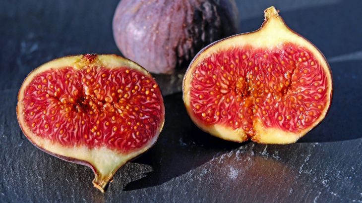 figs التين