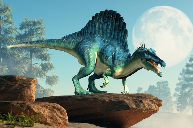 A spinosaurus on a cliff by the moon. Spinosaurus was semi-aquatic dinosaur from the Cretaceous period. It was one of the largest carnivorous dinos. 3D Rendering