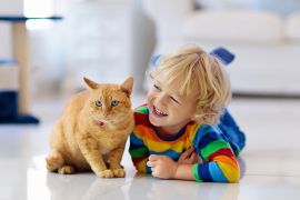 صوت القطط .. ما حقيقة امتلاكه تأثيرا إيجابيا على صحة الإنسان؟