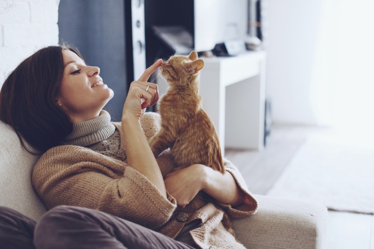 The sound of cats .. What is the fact that it has a positive effect on human health?