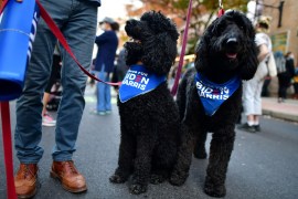 Dogs with bibs supporting Democratic presidential nominee Joe Biden are seen across the street from where ballots are being counted in Philadelphia