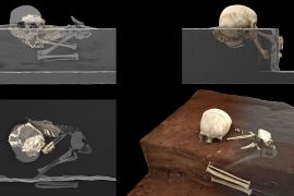 Virtual reconstruction of the Panga ya Saidi hominin remains at the site (left) and ideal reconstruction of the child’s original position at the moment of finding (right). Credit: Jorge González, University of South Florida/Elena Santos, Complutense University of Madrid