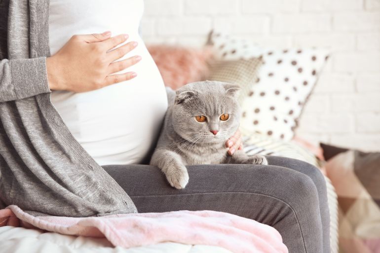 ماذا يجب تجنب القطط أثناء الحمل؟ 10 نصائح يمكن اتباعها للحماية من الإجهاض