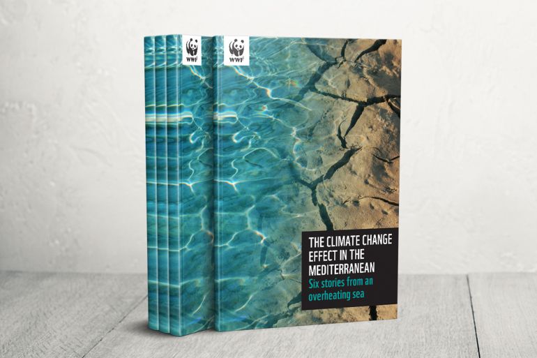 THE CLIMATE CHANGE EFFECT IN THE MEDITERRANEAN