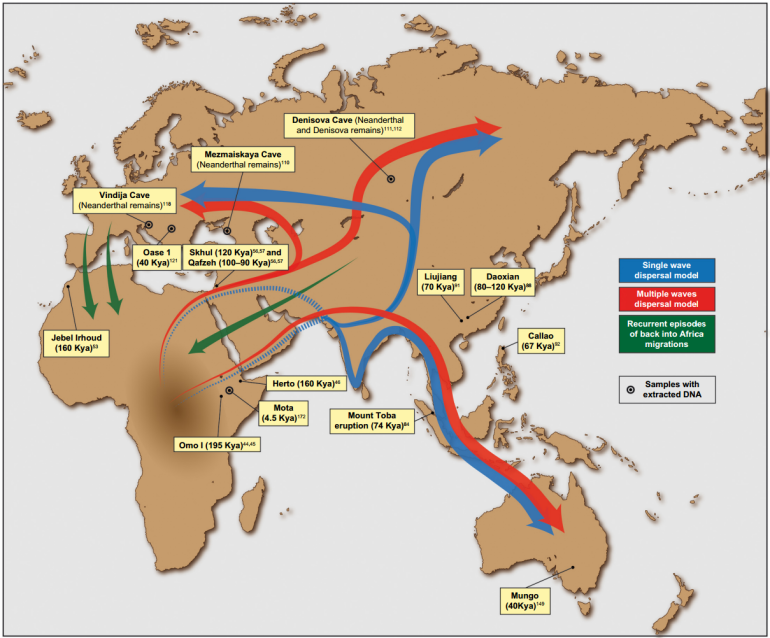هجرات البشر الأوائل من أفريقيا اتخذت مسارات عدة (سايكا لوبيز-ويكيبيديا)