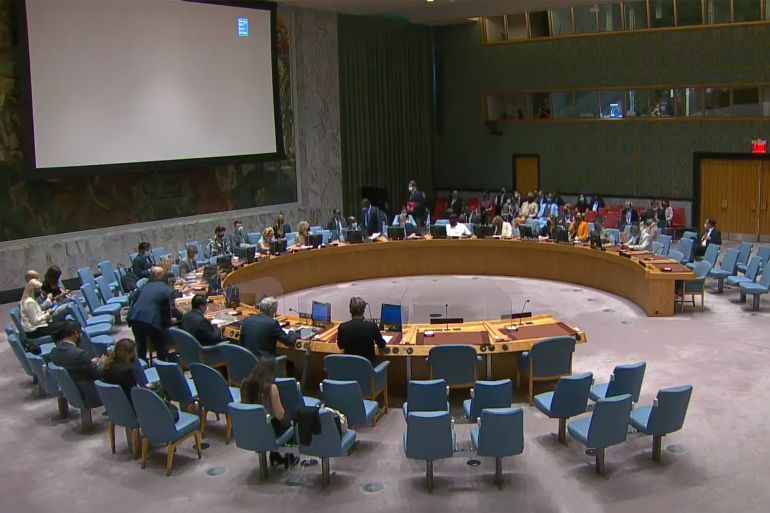 صور من جلسة مجلس الأمن