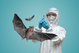 علماء ووهان خططوا لإطلاق فيروس كورونا في خفافيش الكهوف عام 2018