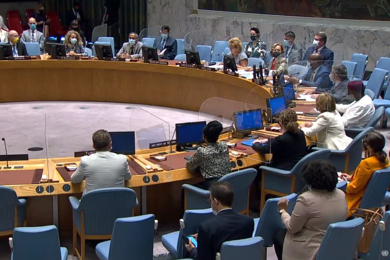 صور من جلسة مجلس الأمن